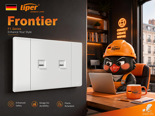 Understanding Computer (RJ45) and Telephone (RJ11) Sockets: A Guide for Importers and Contractors