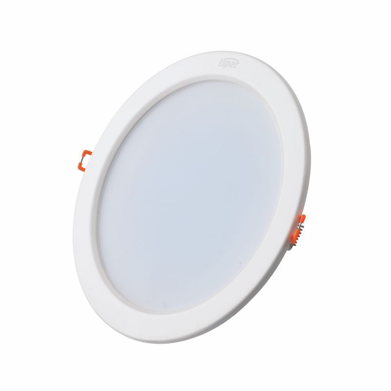 China Manufacturer for Waterproof Downlights - Economic EW Down Light – Liper detail pictures