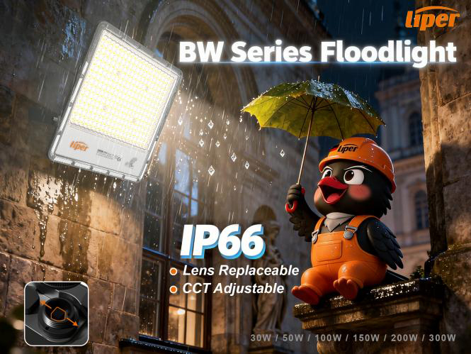 Liper BW Series IP66 Floodlight
