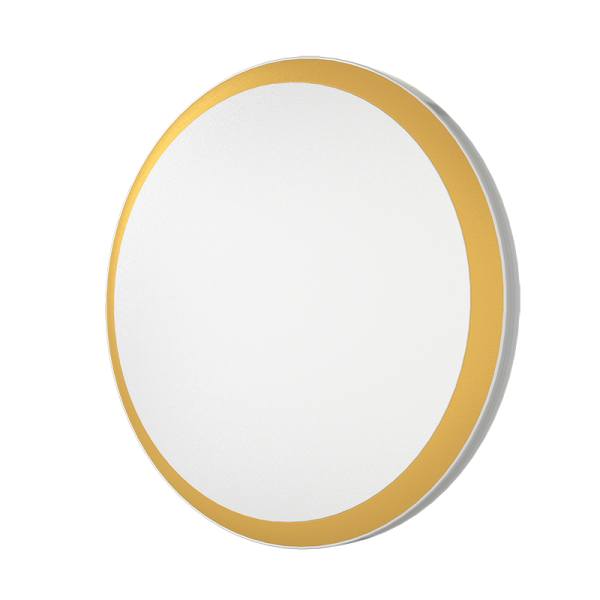 ENS Series Downlight