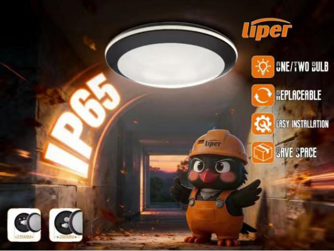Liper MQ Series IP65 Bulkhead Lamp Fitting