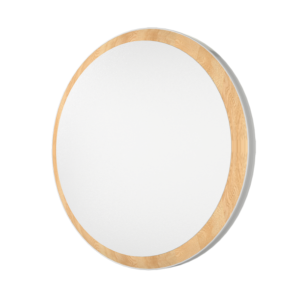 ENS Series Downlight