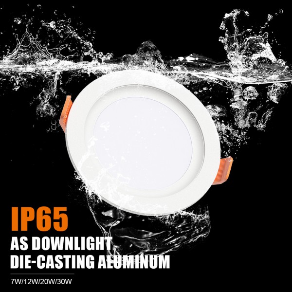 Downlight Liper IP65 (2)
