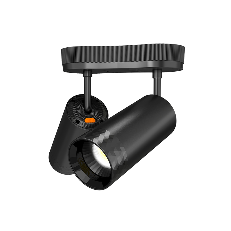 Liper track light 1